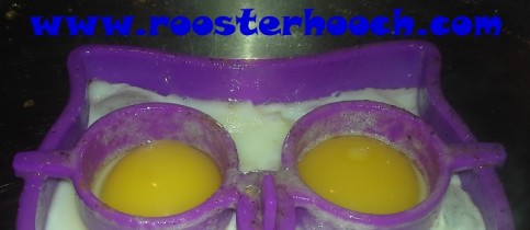 Owl Egg Mold Project